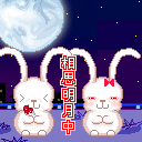 qqydl.cn-zqj98.gif